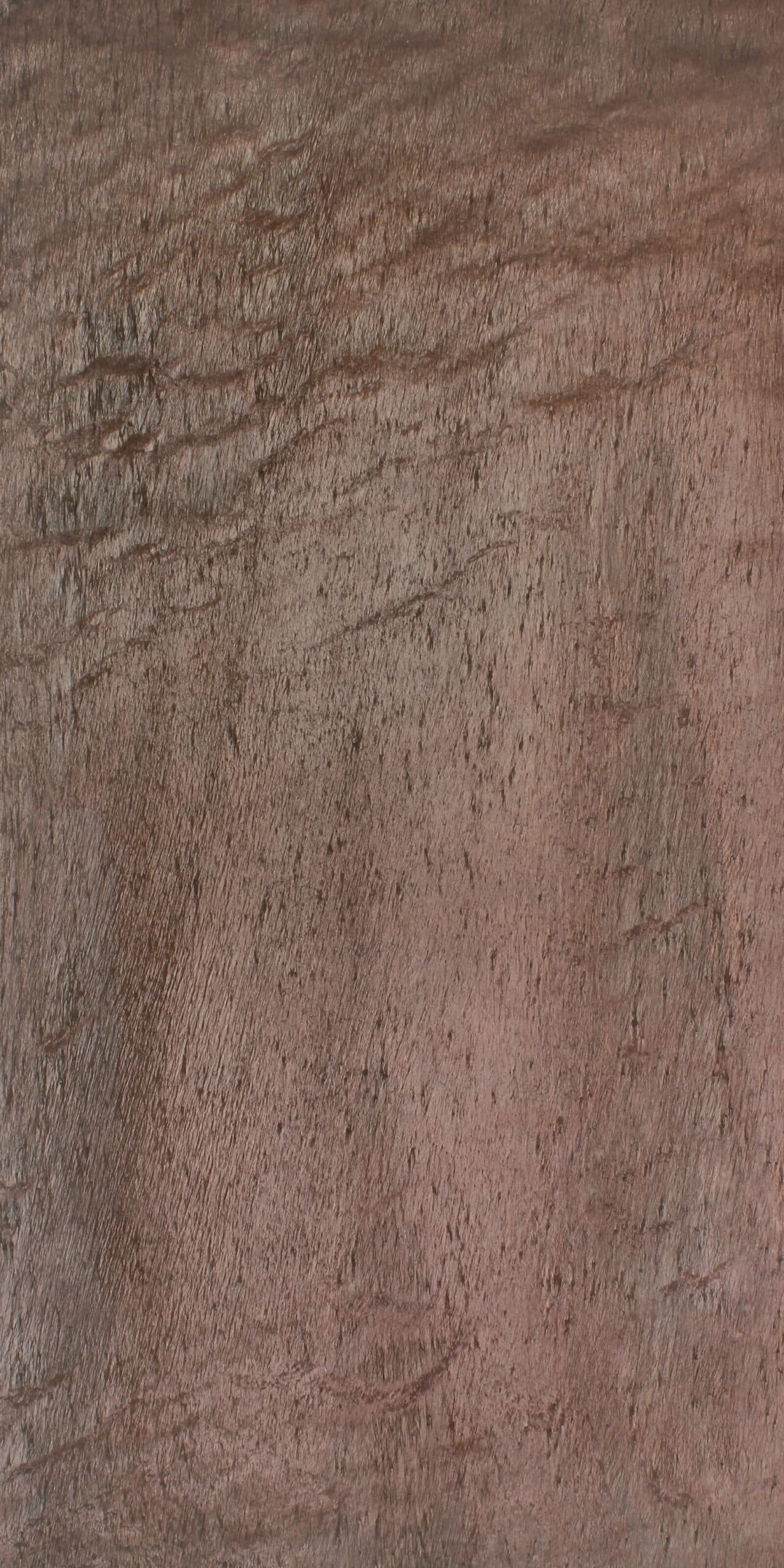 Feuille de Pierre Naturelle Essaouira