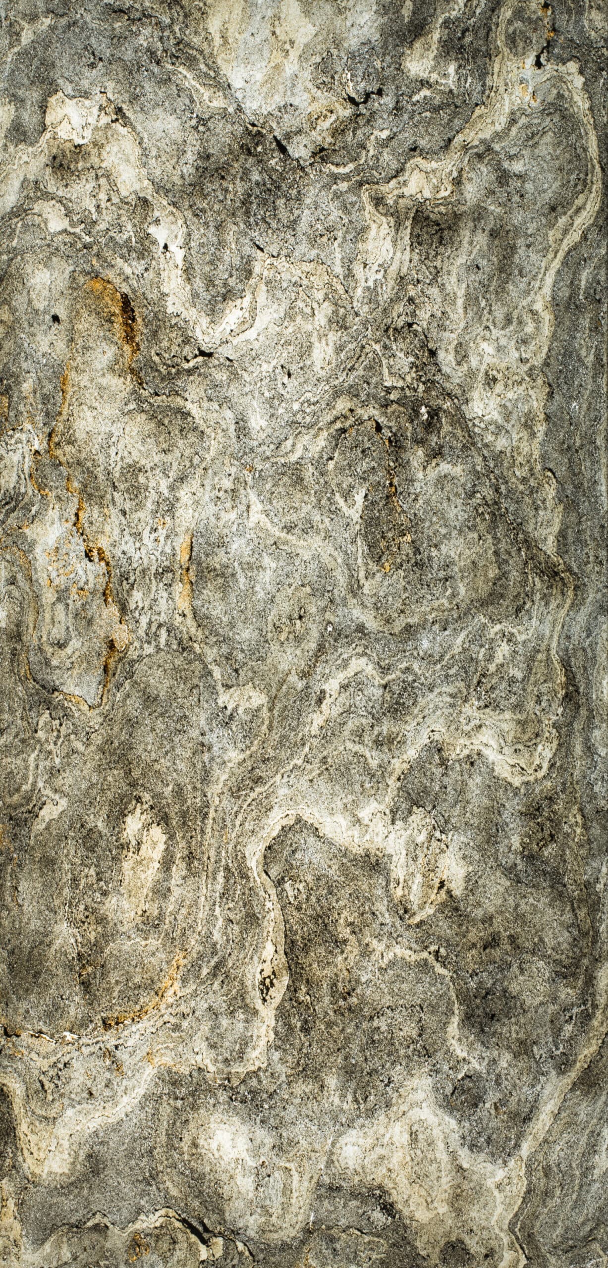 Pierre Translucide Montreal