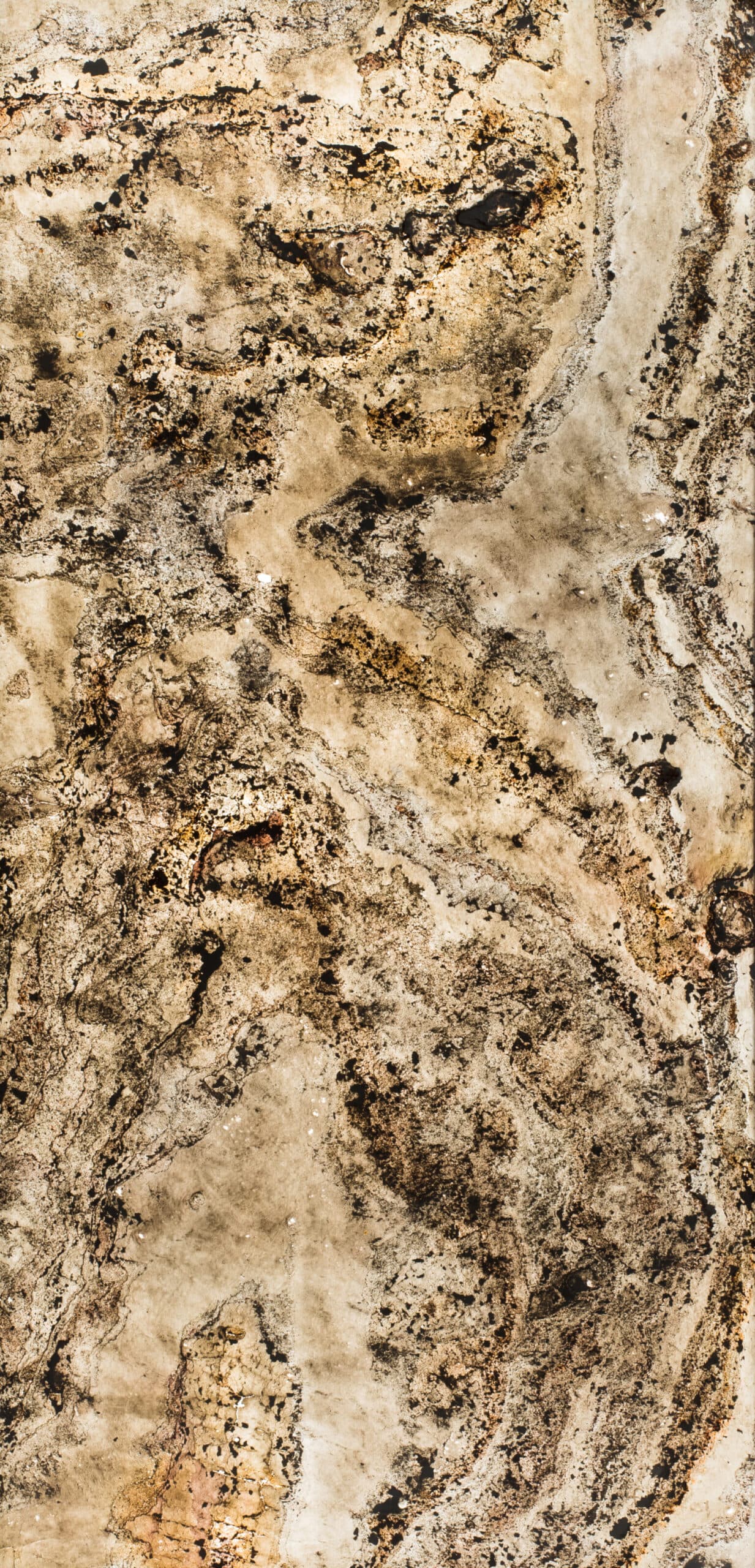 Pierre Translucide Stockholm