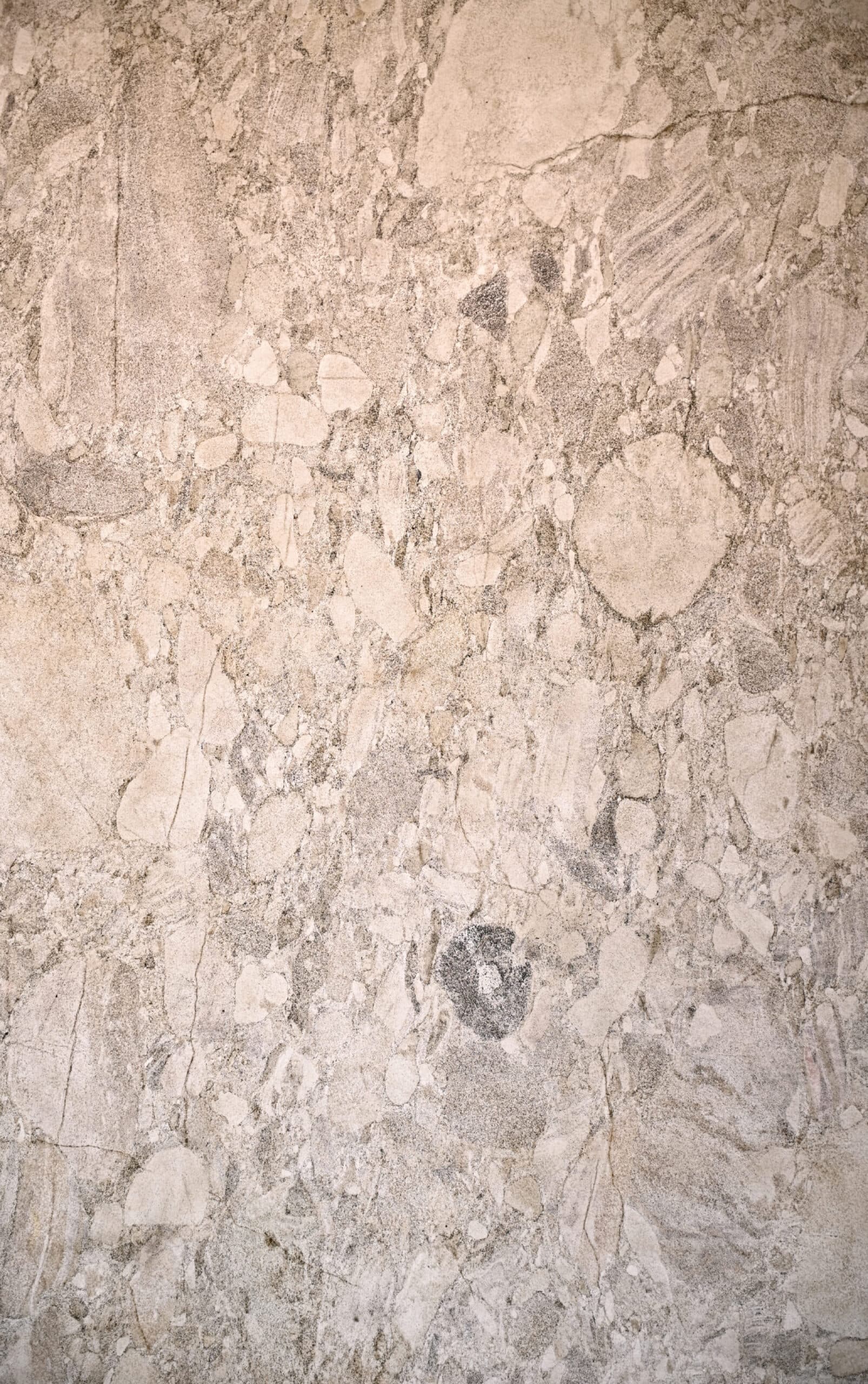 Pierre Translucide Tokyo