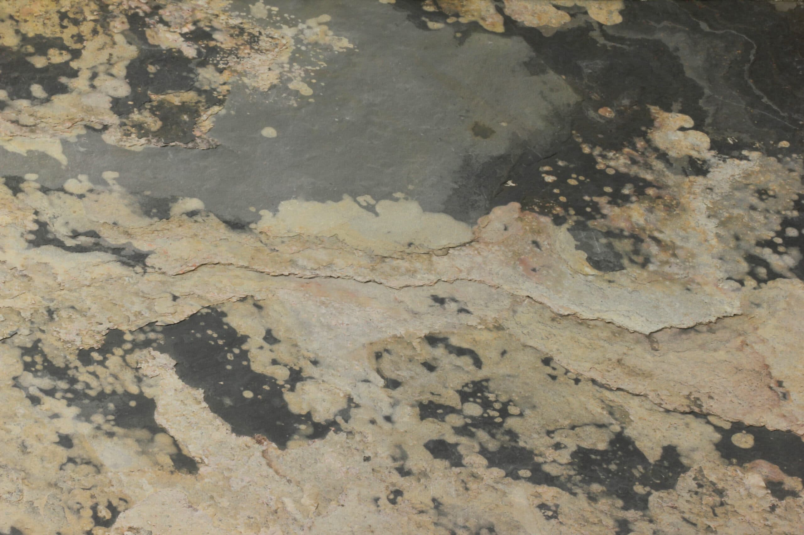 Feuille de Pierre Naturelle Moscou – mise en situation